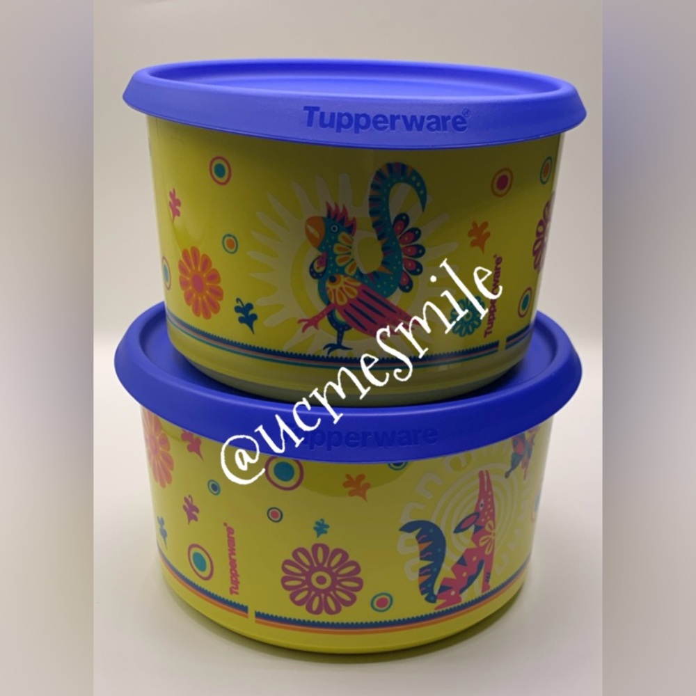 Tupperware Alebrije Fantasy Paint Designs One Touch Canister Set